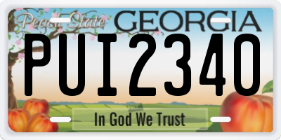 GA license plate PUI2340