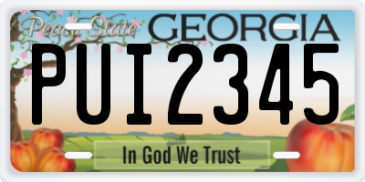 GA license plate PUI2345
