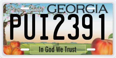 GA license plate PUI2391