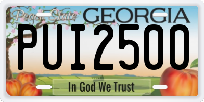 GA license plate PUI2500