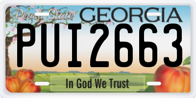 GA license plate PUI2663
