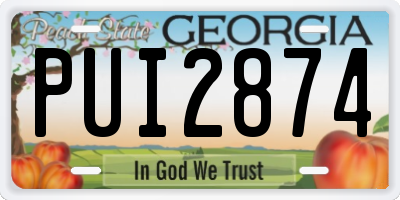 GA license plate PUI2874