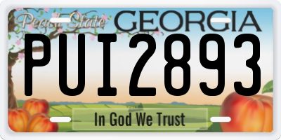 GA license plate PUI2893