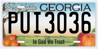 GA license plate PUI3036