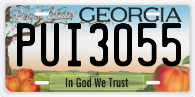 GA license plate PUI3055