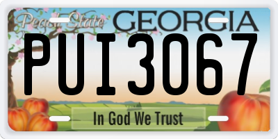 GA license plate PUI3067