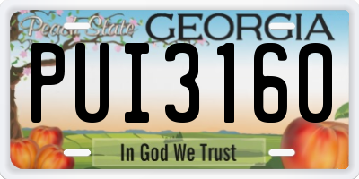GA license plate PUI3160