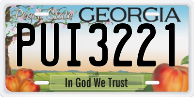 GA license plate PUI3221