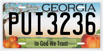 GA license plate PUI3236