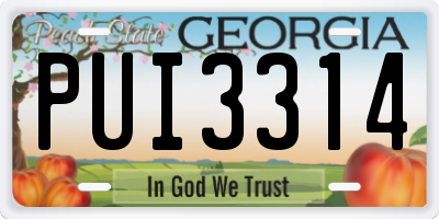 GA license plate PUI3314