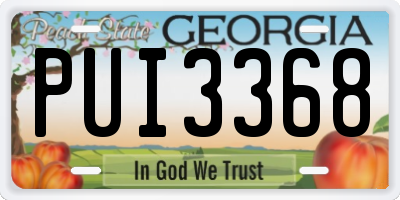 GA license plate PUI3368