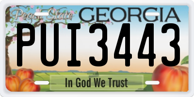 GA license plate PUI3443
