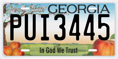 GA license plate PUI3445