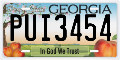 GA license plate PUI3454