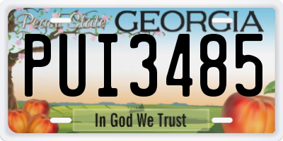 GA license plate PUI3485