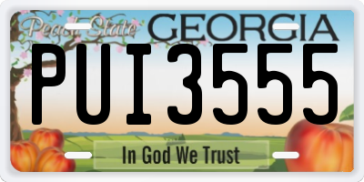 GA license plate PUI3555