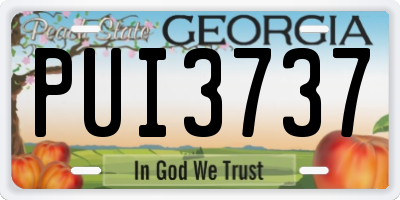 GA license plate PUI3737