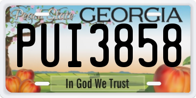 GA license plate PUI3858