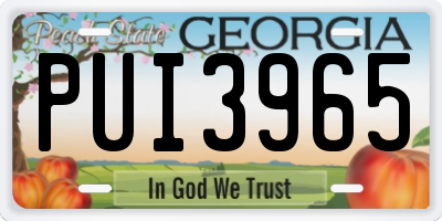 GA license plate PUI3965