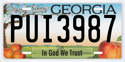 GA license plate PUI3987