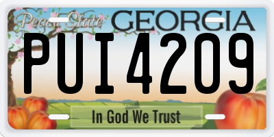 GA license plate PUI4209