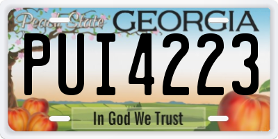 GA license plate PUI4223
