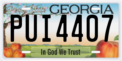 GA license plate PUI4407