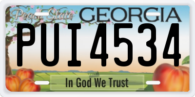 GA license plate PUI4534