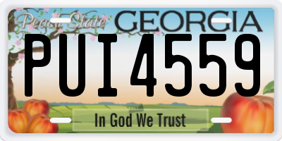 GA license plate PUI4559