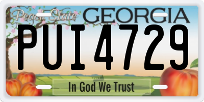 GA license plate PUI4729