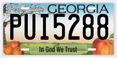 GA license plate PUI5288