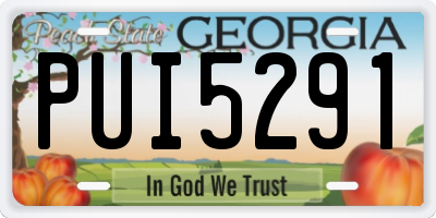 GA license plate PUI5291
