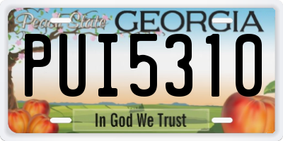 GA license plate PUI5310