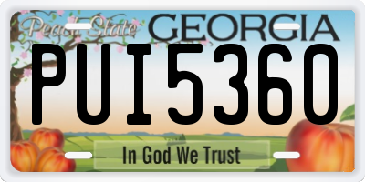 GA license plate PUI5360