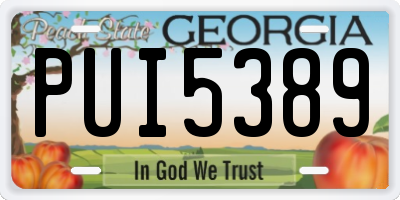 GA license plate PUI5389