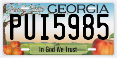 GA license plate PUI5985