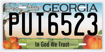 GA license plate PUI6523