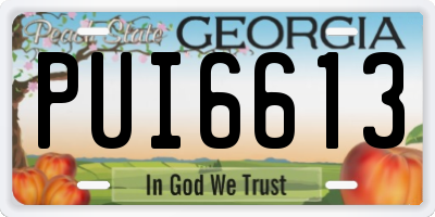 GA license plate PUI6613