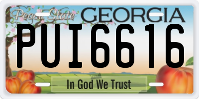 GA license plate PUI6616