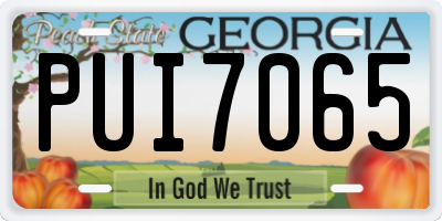 GA license plate PUI7065
