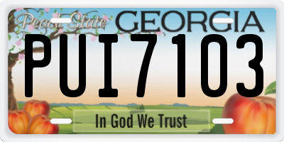 GA license plate PUI7103