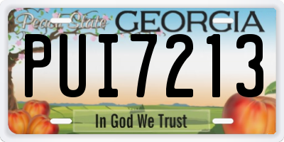 GA license plate PUI7213