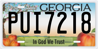 GA license plate PUI7218