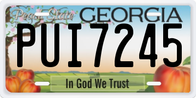 GA license plate PUI7245