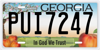 GA license plate PUI7247