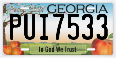GA license plate PUI7533