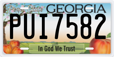 GA license plate PUI7582