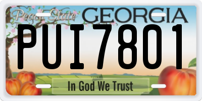 GA license plate PUI7801