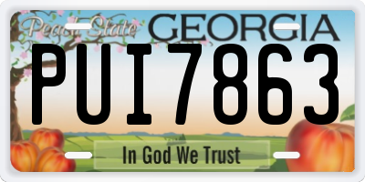 GA license plate PUI7863