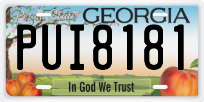 GA license plate PUI8181